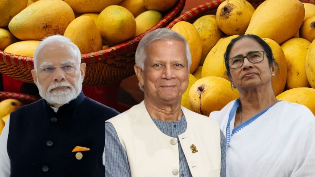 হঠাত্‍ মোদীকে হাজার কেজি আম পাঠালেন ইউনূস, আম গিফট মমতাকেও, কেন?