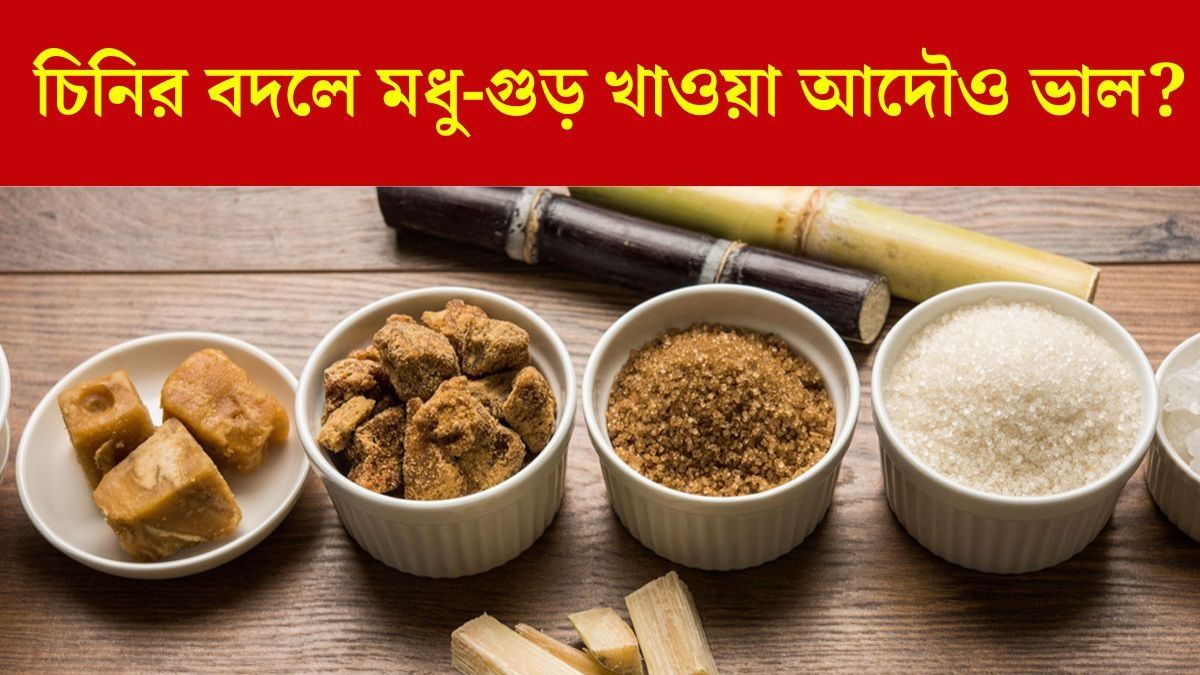 চিনির বদলে খাচ্ছেন মধু-গুড়, হিতে বিপরীত হবে না তো?