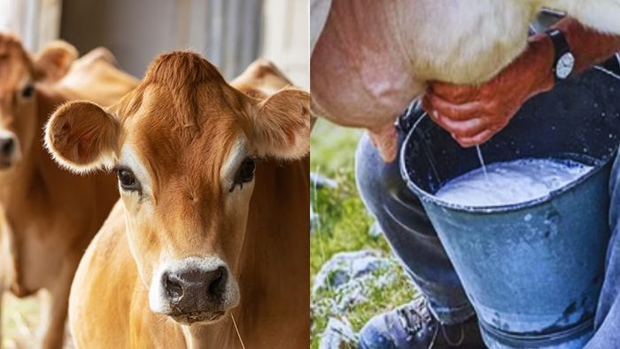 প্রতীকী ছবি