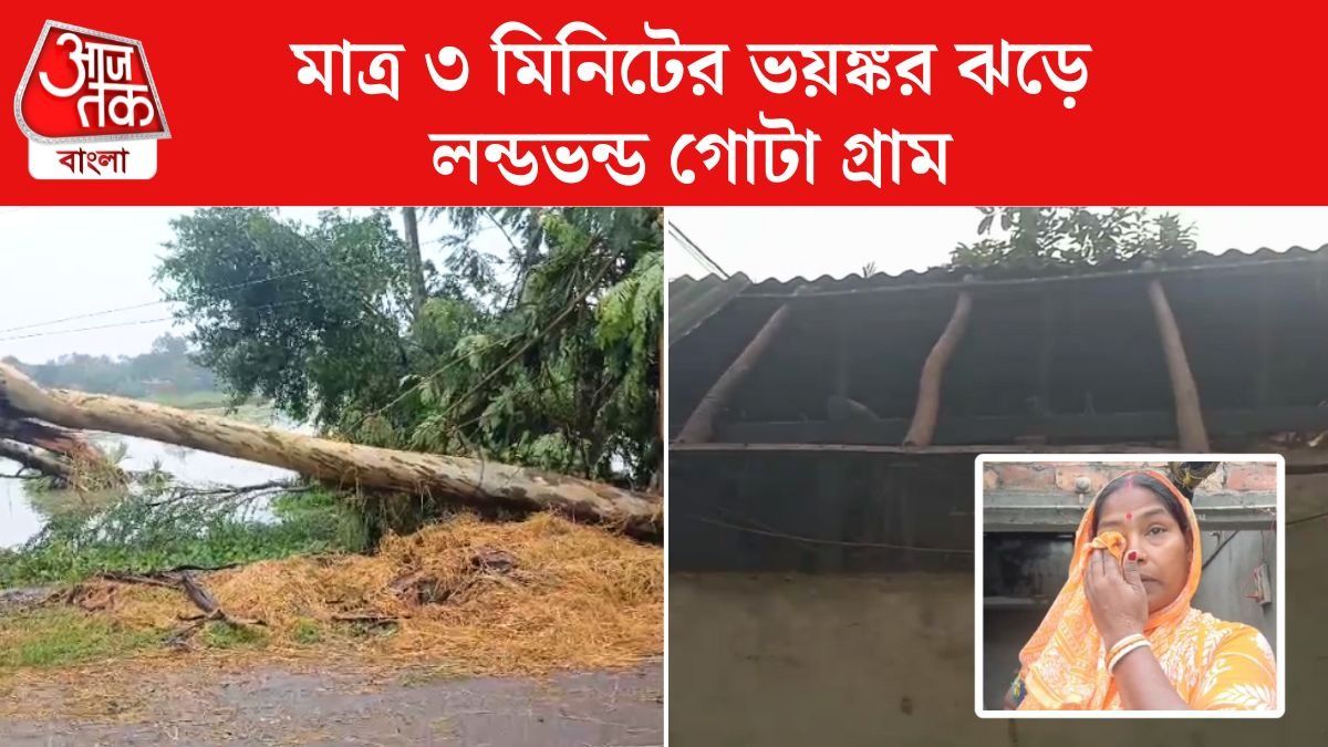 রায়দিঘিতে টর্নেডো? ৩ মিনিটের ধ্বংসলীলা, গাছ-বাড়ি লন্ডভন্ড, বিদ্যুত্‍ও নেই