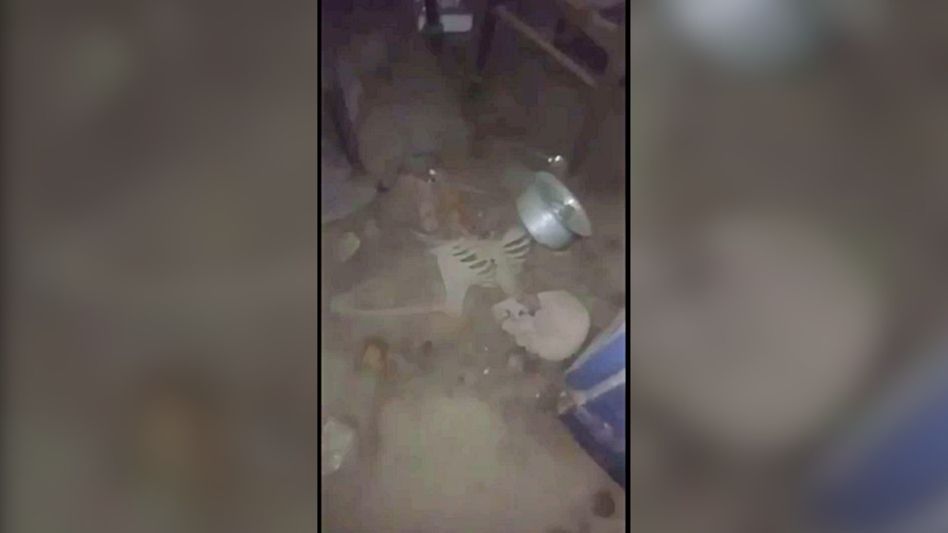 কঙ্কালের নোকিয়া ফোনে ৮৪ মিসড কল, পুরোনো পাঁচশো-হাজারের নোট, মৃত্যুর কারণ জানাল পুলিশ কঙ্কালের নোকিয়া ফোনে ৮৪ মিসড কল, পুরোনো পাঁচশো-হাজারের নোট, মৃত্যুর কারণ জানাল পুলিশ