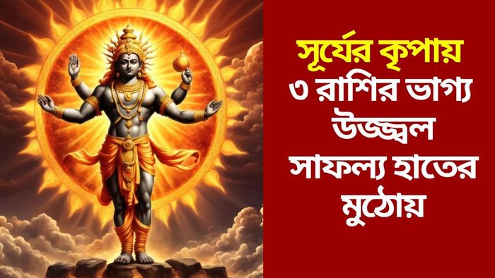 সূর্যের প্রিয় রাশি