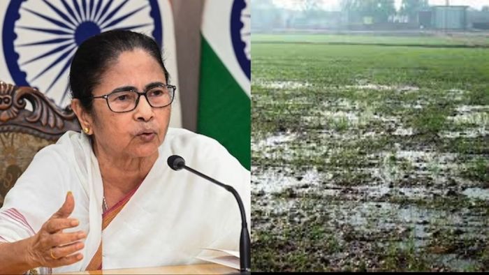 কৃষকদের বড় আশ্বাস মুখ্যমন্ত্রী মমতা বন্দ্যোপাধ্যায়ের।