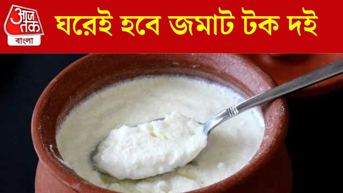 মা-ঠাকুরমাদের পদ্ধতি মানুন, জমাট টক দই হবে বাড়িতেই 