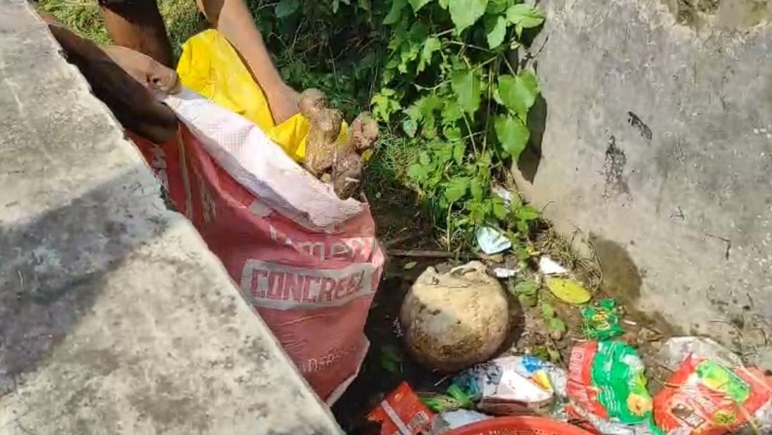 কঙ্কাল উদ্ধার।