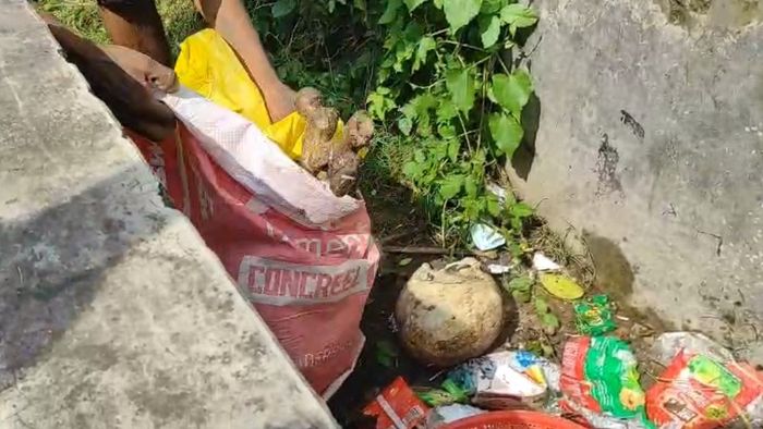 কঙ্কাল উদ্ধার।