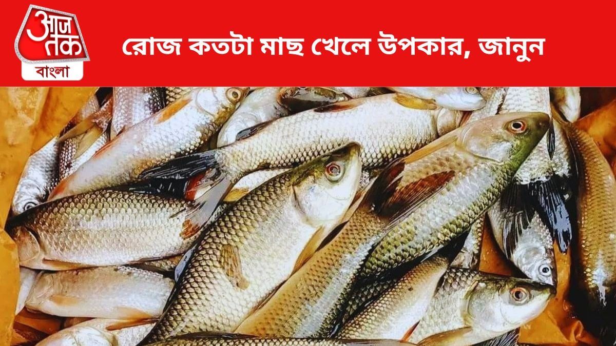 প্রতীকী চিত্র।