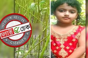 Social Media Users Social Media Users