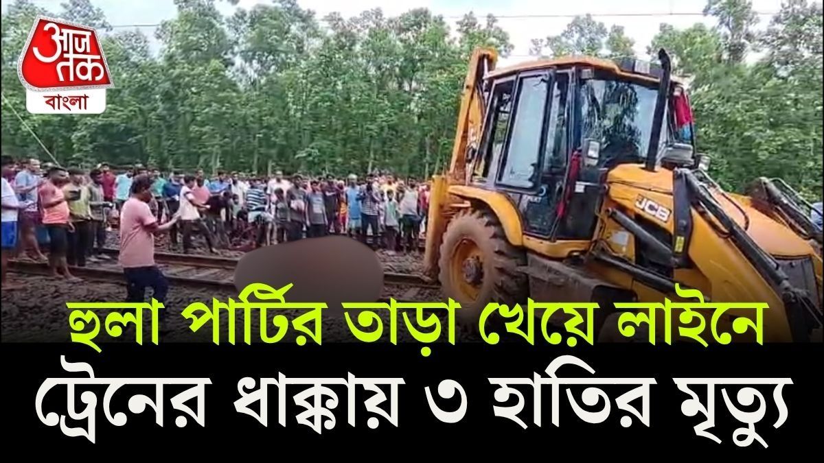 মর্মান্তিক! ট্রেনের ধাক্কায় ২ শাবক সহ ৩ হাতির মৃত্যু, বন দফতর ও হুলা পার্টির তাড়া খেয়ে