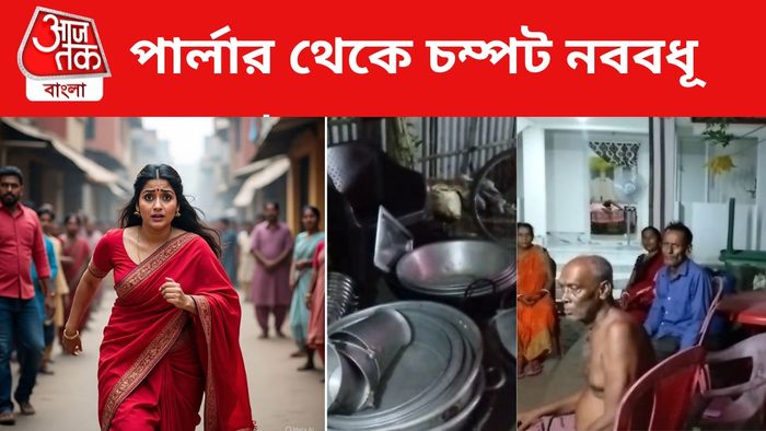 নববধূ (AI ছবি)