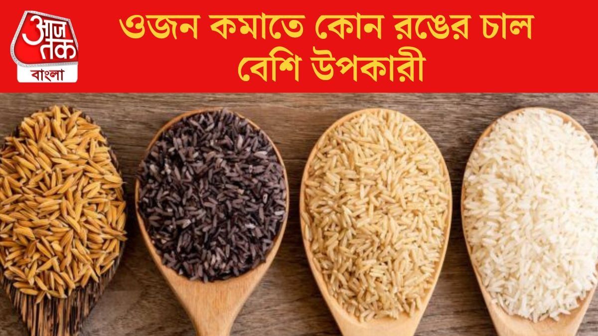 লাল না বাদামি, কোন ভাতে ঝটপট ওজন কমবে? মনের সুখে খেলেও ক্ষতি নেই
