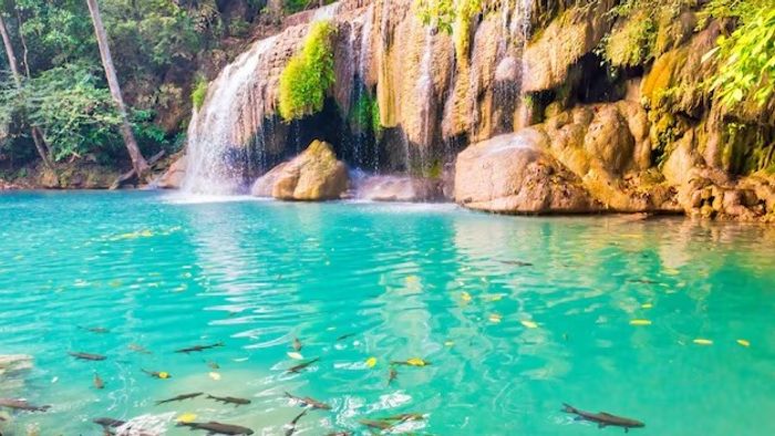 Money Vastu Tips: টাকার অভাব ঘুচবে এভাবে