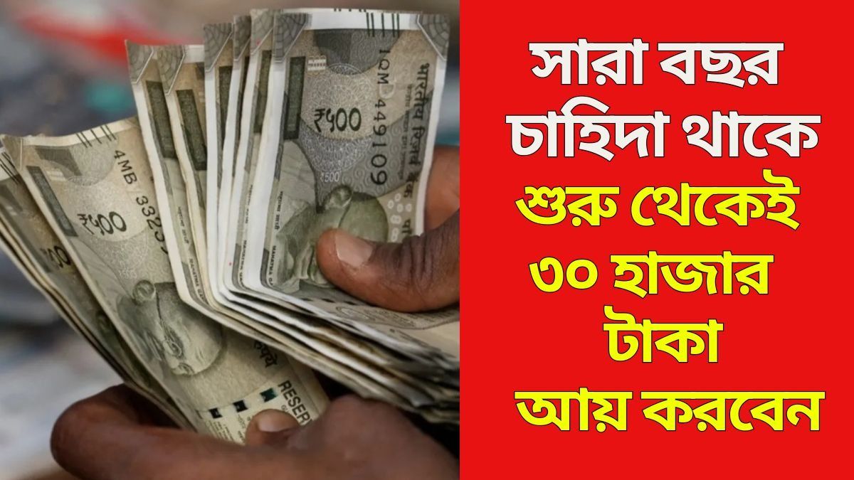 শুরু থেকেই ৩০ হাজার  টাকা আয় করবেন