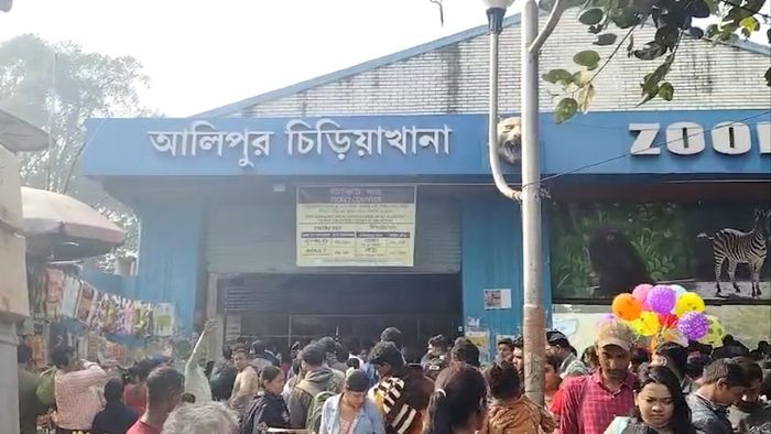 Visitors Crowd at Alipore Zoo
