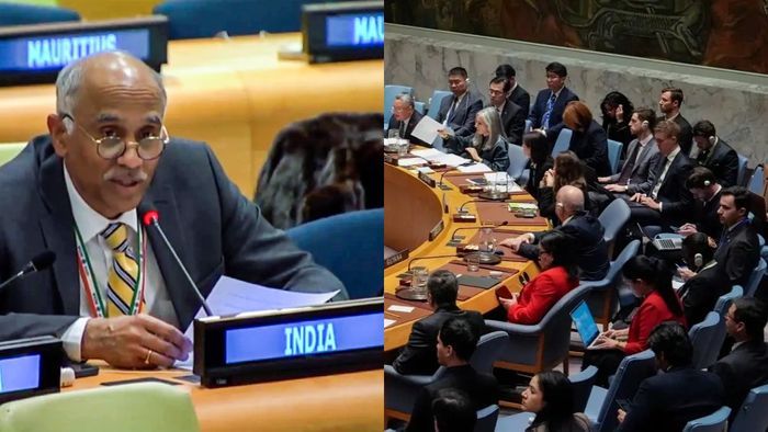 রাষ্ট্রসঙ্ঘের নিরাপত্তা পরিষদে পাকিস্তানের তীব্র সমালোচনা করেছে ভারত