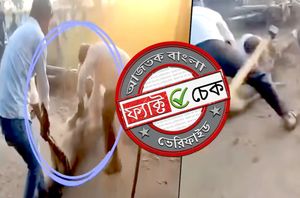 Social Media Users Social Media Users