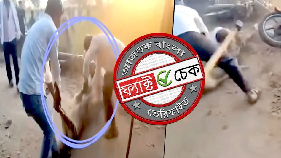ফ্যাক্ট চেক: বাঘের সঙ্গে লড়ে ৯ বছরের কন্যার প্রাণ বাঁচালেন বাবা? জানুন আসলে কী ঘটেছিল ফ্যাক্ট চেক: বাঘের সঙ্গে লড়ে ৯ বছরের কন্যার প্রাণ বাঁচালেন বাবা? জানুন আসলে কী ঘটেছিল