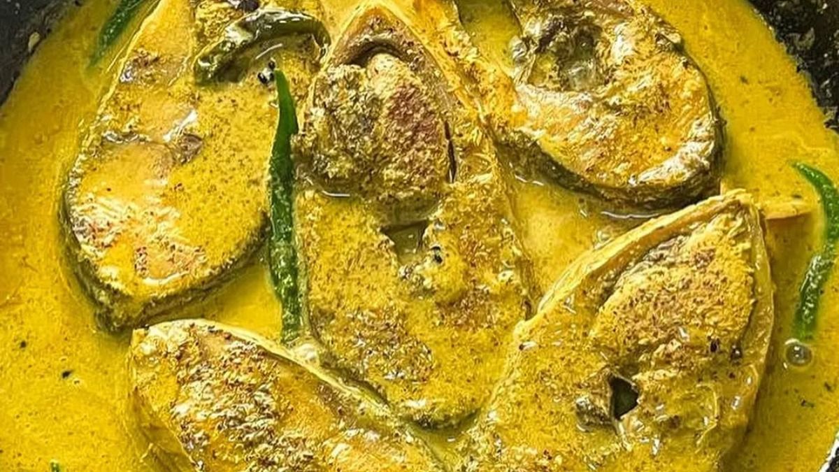 ইলিশ এভাবে রাঁধলেই পুষ্টির বারোটা বাজবে? সঠিক পদ্ধতিটা শিখে নিন