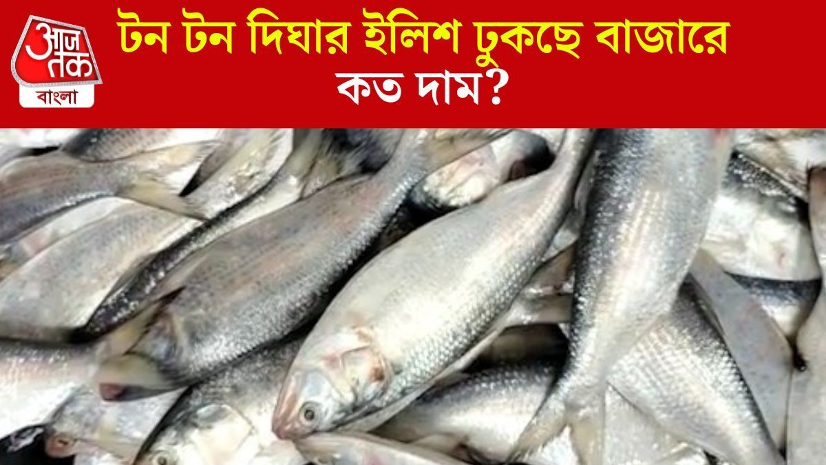 দিঘার ইলিশের দাম কত?