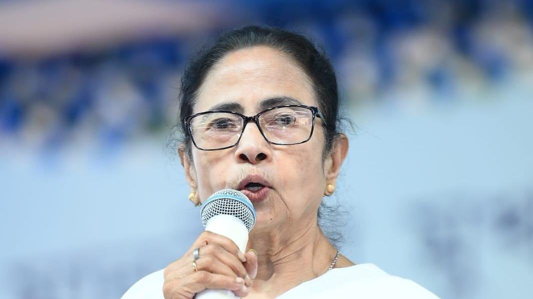 মমতা বন্দ্যোপাধ্যায়।-ফাইল ছবি