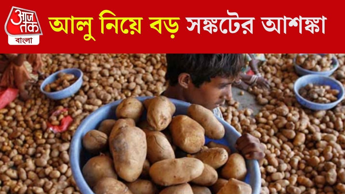 আলুর দাম নিয়ে বড় আশঙ্কা
