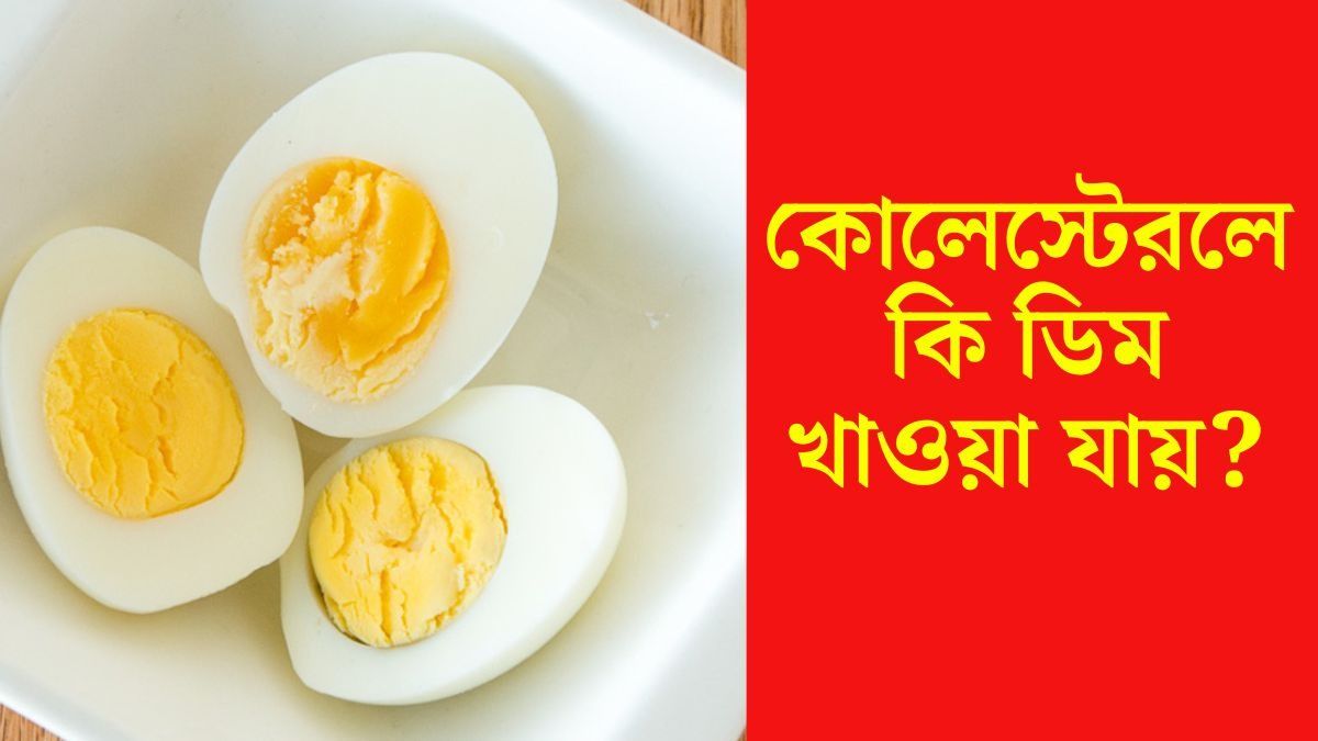 ডিম কি কোলেস্টেরলে খাওয়া উচিত?