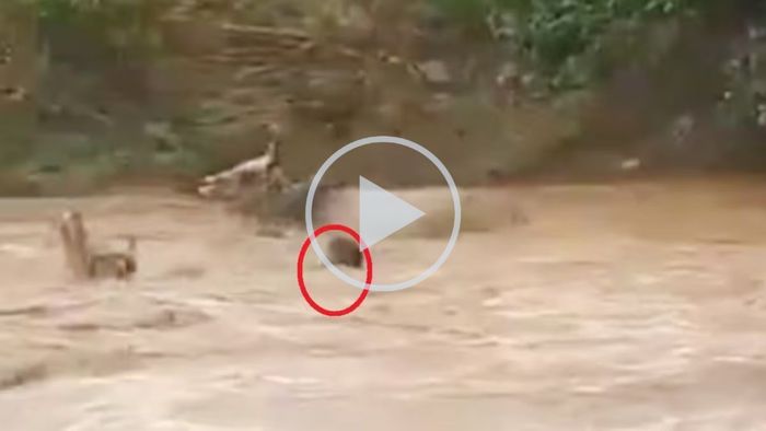 বদলকে বাঁচাতে নদীতে কৃষক।