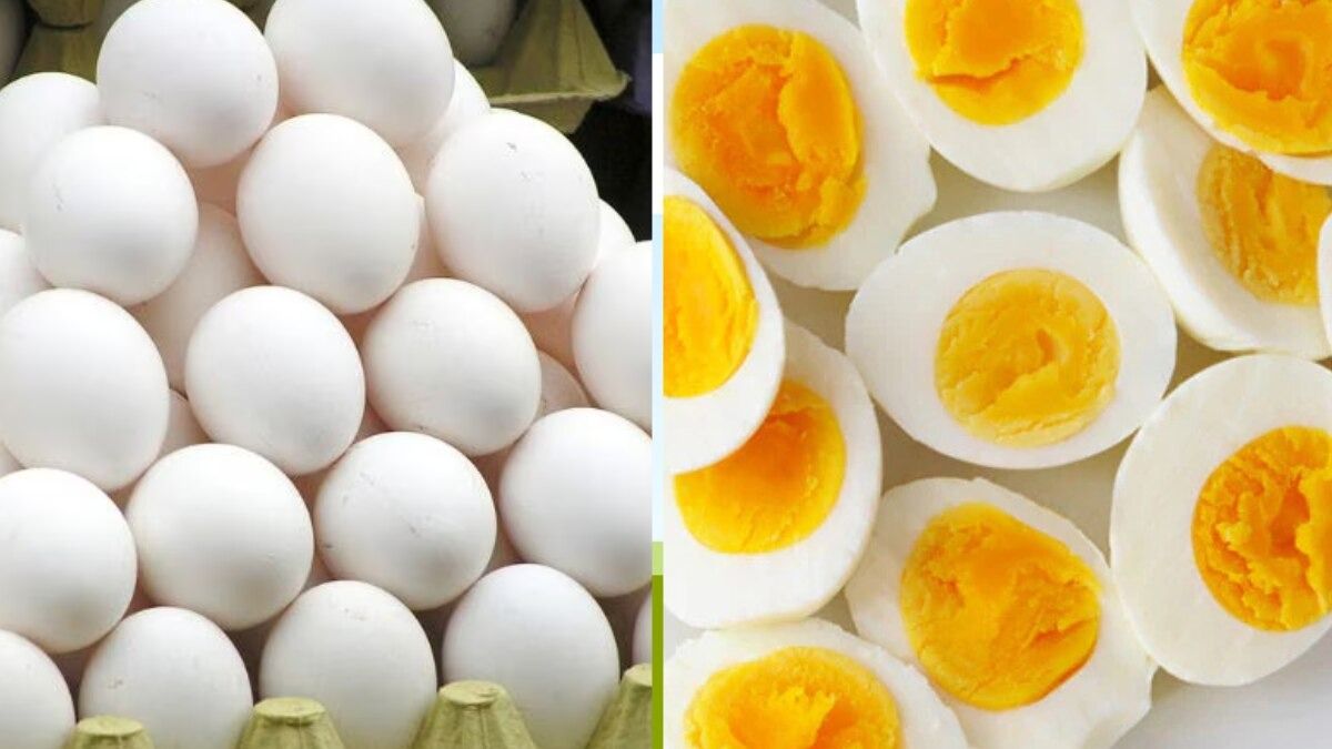 ডিম কীভাবে খেলে পুষ্টি সবচেয়ে বেশি? 