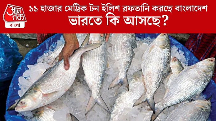 ভারতে এবার ইলিশ পাঠাবে বাংলাদেশ সরকার? কী পরিকল্পনা