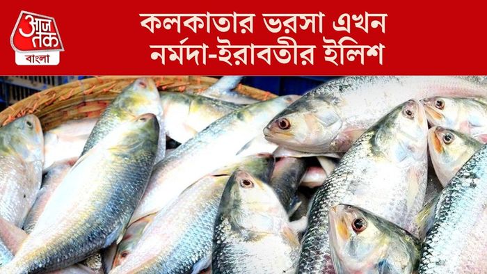 কলকাতার ভরসা এখন নর্মদা-ইরাবতীর ইলিশ