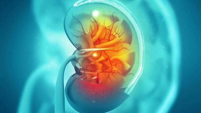 প্রতীকী চিত্র।