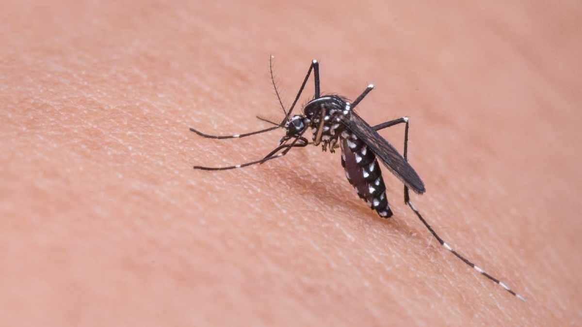 ফাইল চিত্র।