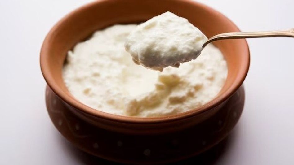 বর্ষায় বাড়িতে দই বসানোর ট্রিকসটা শিখুন, ২ ঘণ্টায় হবে গাঢ়-থকথকে; রেসিপি  বর্ষায় বাড়িতে দই বসানোর ট্রিকসটা শিখুন, ২ ঘণ্টায় হবে গাঢ়-থকথকে; রেসিপি