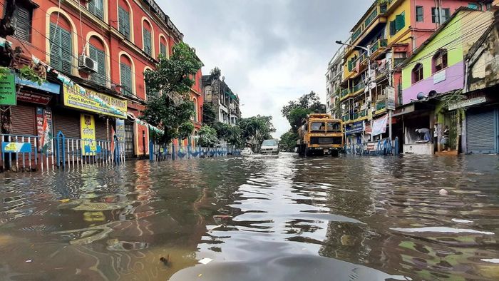 ফাইল ফটো