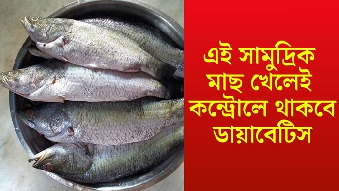 ভোলা ভেটকির গুণাগুণ