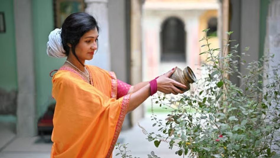রোজ তুলসীর পুজো করা মোটেই শুভ নয়, ঘোর অমঙ্গল