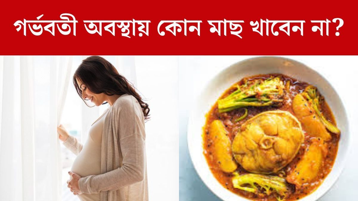 গর্ভাবস্থায় কোন মাছ খাবেন না