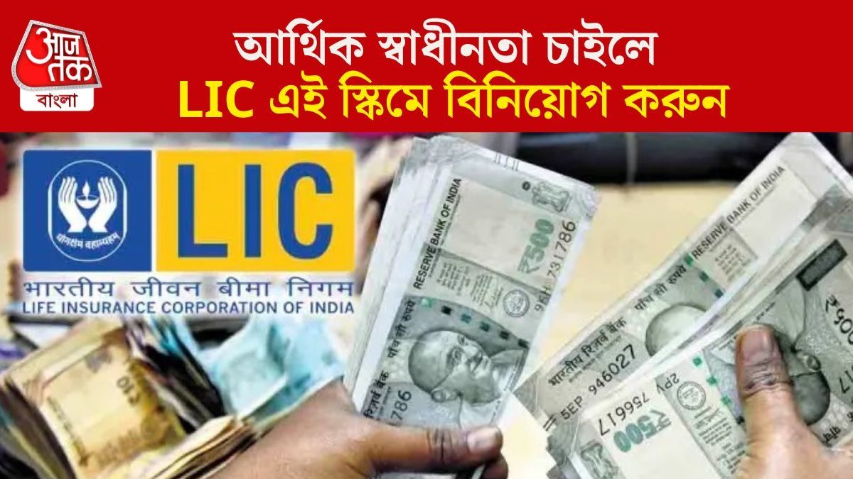 আর্থিক স্বাধীনতা চাইলে LIC এই স্কিমে বিনিয়োগ করুন