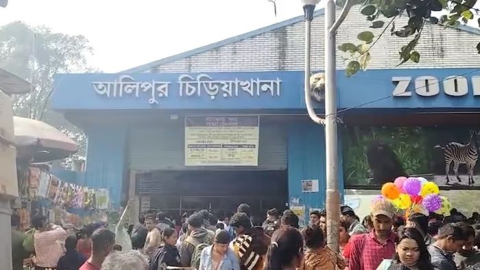 আলিপুর চিড়িয়াখানা।-ফাইল ছবি