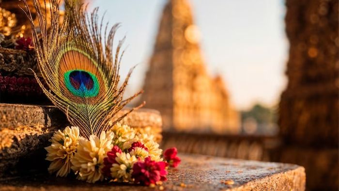 সূর্য-কেতুর জোড়া ফলায় জন্মাষ্টমী থেকে গোল্ডেন টাইম  শুরু ৫ রাশির