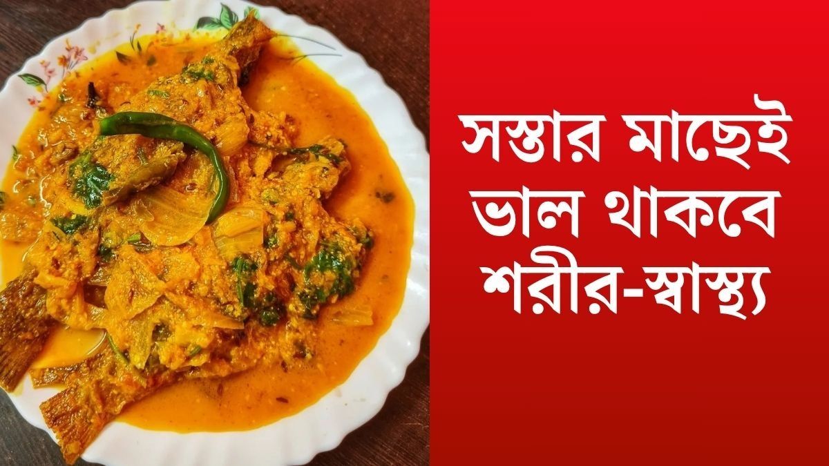 পাবদা-ইলিশ বাদ দিন, সস্তার এই মাছেই রয়েছে শরীর ফিট রাখার উপাদান
