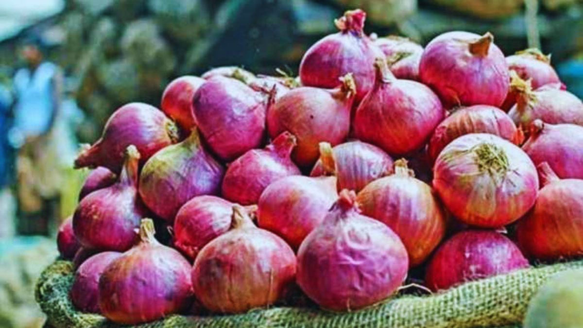 প্রতিদিন খান একটা করে গোটা পেঁয়াজ, উপকার জানলে চমকে যাবেন 