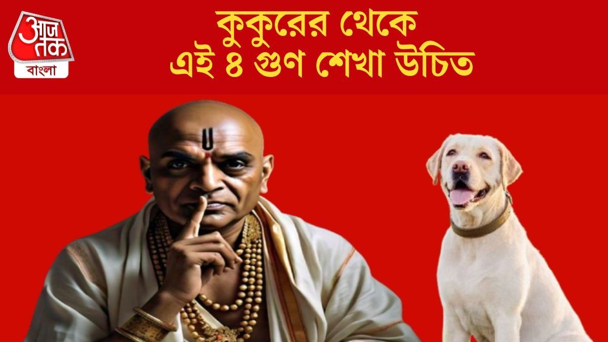 কুকুরের থেকে এই ৪ গুণ শেখা উচিত