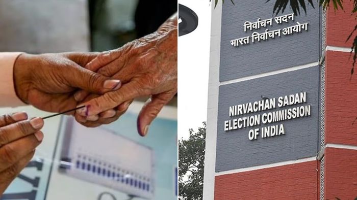 নির্বাচন কমিশন