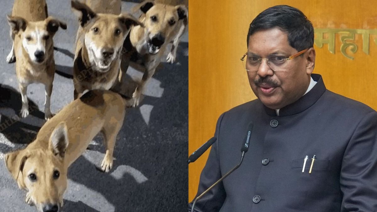 পথকুকুর নিয়ে SC রায় বিতর্কের মাঝেই মুখ খুললেন প্রধান বিচারপতি