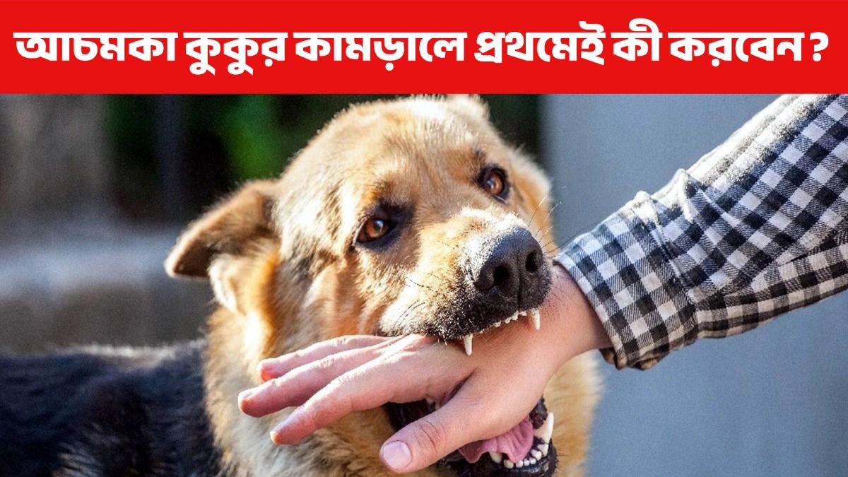 কুকুর