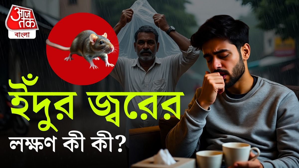 রাজ্য়ে ইঁদুর জ্বরে আক্রান্ত অনেকেই।-গ্রাফিক্স
