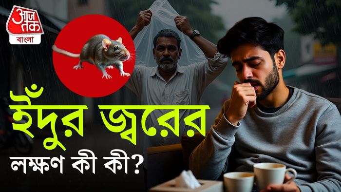 রাজ্য়ে ইঁদুর জ্বরে আক্রান্ত অনেকেই।-গ্রাফিক্স