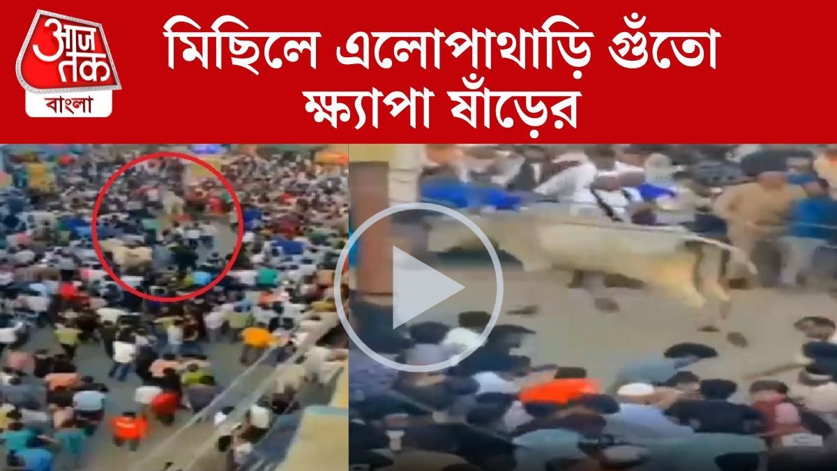 মিছিলে ঢুকে যাকে পারল গুঁতিয়ে দিল ক্ষ্যাপা ষাঁড়! ভাইরাল VIDEO