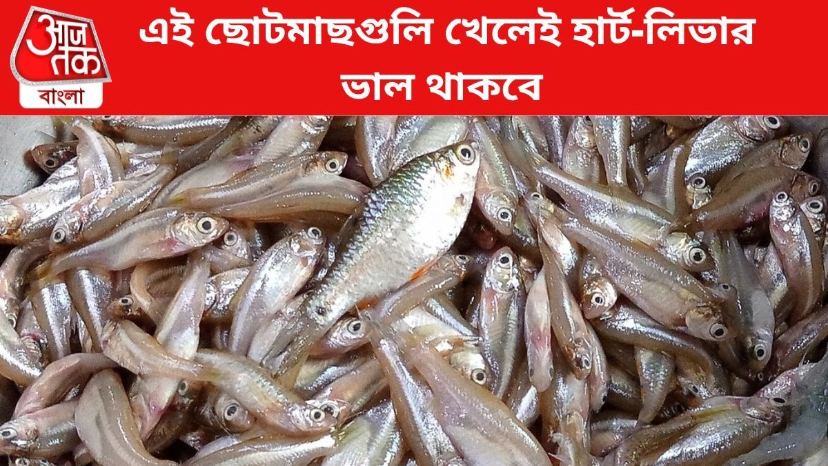 এই চার মাছ নিয়মিত খেলে পাওয়া যায় নানা উপকার, জেনে নিন